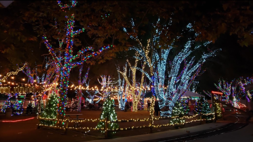 Colorful holiday lights illuminate trees and decorations in a festive outdoor setting at night.