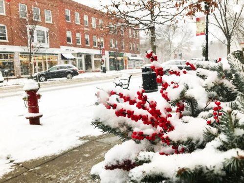 A snowy street scene with red berries on a bush, a fire hydrant, and shops in the background. Snowflakes are falling.