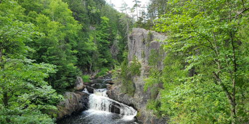 A serene waterfall cascades through lush green trees and rocky cliffs in a tranquil forest setting.