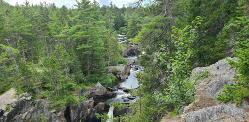 A scenic view of a rocky river winding through a lush green forest under a partly cloudy sky.