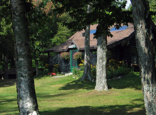 A cozy log cabin surrounded by trees and colorful flowers on a sunny day.