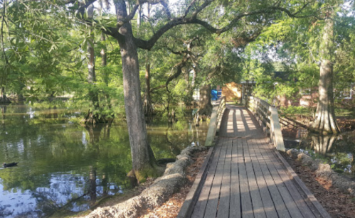 A wooden bridge over a serene pond surrounded by lush greenery and trees.