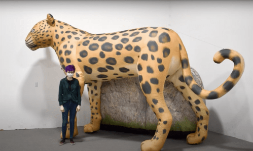 A person stands next to a large inflatable leopard, showcasing its vibrant spots and tail.
