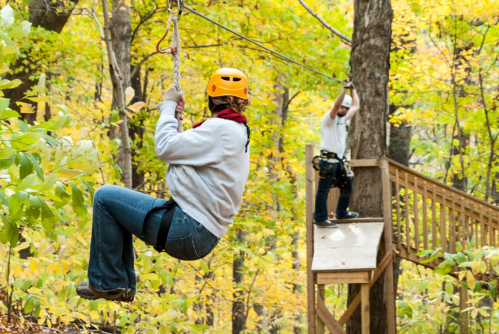 A person in a yellow helmet zip lines through a forest with autumn leaves, while another person waits on a platform.