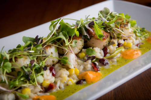 A gourmet dish featuring seared scallops on a bed of risotto, garnished with microgreens and colorful sauces.