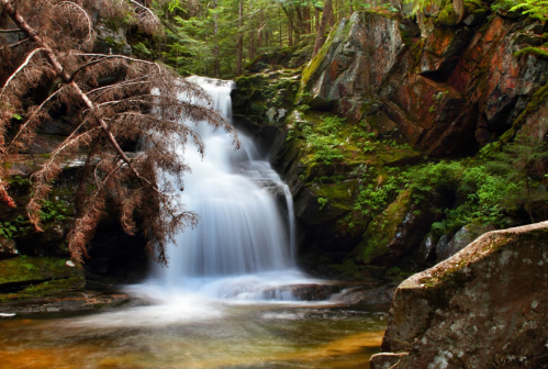 A serene waterfall cascades over rocks, surrounded by lush greenery and moss-covered stones.