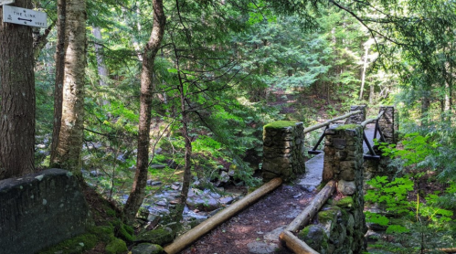 A rustic wooden bridge spans a small stream in a lush, green forest, surrounded by trees and mossy stones.