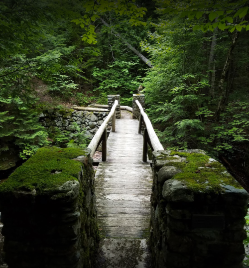 A wooden bridge covered in moss spans a small creek, surrounded by lush green trees and foliage.
