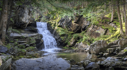 A serene waterfall cascades over rocks, surrounded by lush greenery and tall trees in a tranquil forest setting.