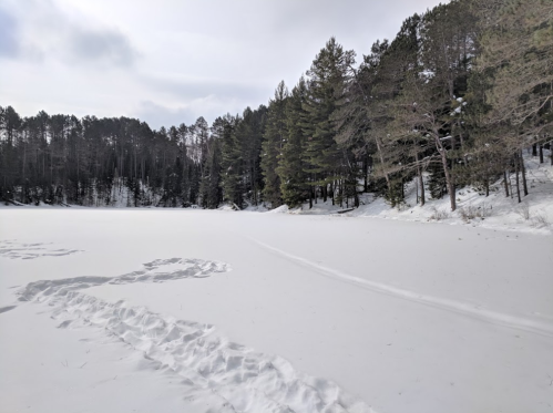 A snowy landscape with a frozen lake and a forest of evergreen trees in the background under a cloudy sky.