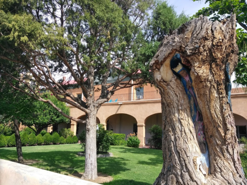 A weathered tree stump in the foreground with lush greenery and a building in the background under a clear sky.