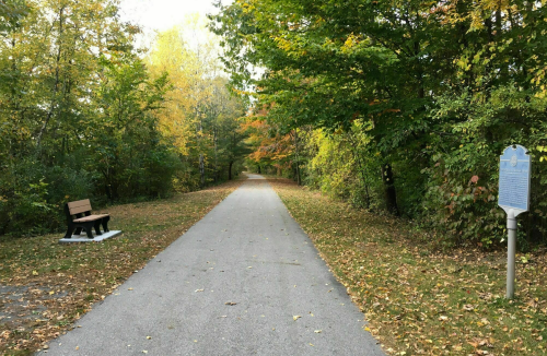 A peaceful pathway lined with trees in autumn, featuring a bench and a historical marker on the side.