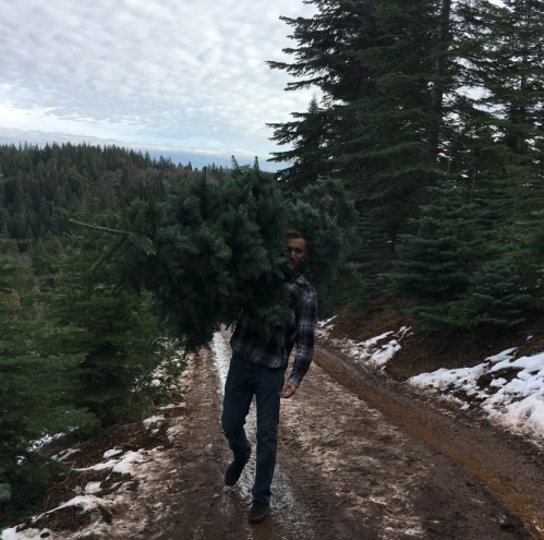 A person carries a large Christmas tree along a muddy forest road, surrounded by evergreen trees and a cloudy sky.