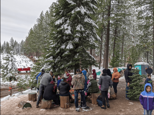 A group of people gathered around a fire in a snowy forest, surrounded by tall pine trees and a winter landscape.