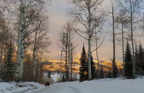 A snowy road winds through tall trees, with mountains in the background illuminated by soft sunlight.