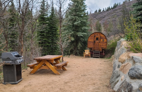 A rustic outdoor area with a picnic table, grill, and a wooden wagon surrounded by trees and mountains.