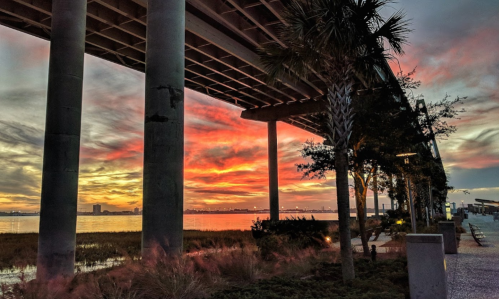 Sunset view under a bridge, with vibrant colors reflecting on the water and palm trees lining the walkway.