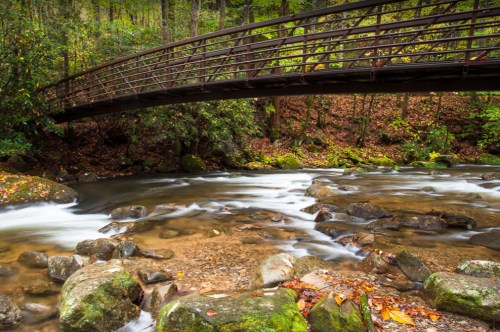 A wooden bridge spans a flowing stream, surrounded by lush greenery and rocky riverbanks in a serene forest setting.