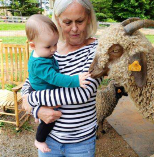 A woman holds a baby while interacting with a sheep in a farm setting.