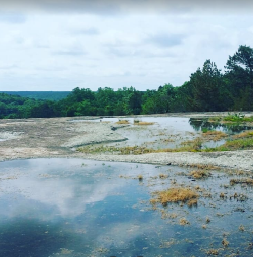 A serene landscape featuring a shallow pond surrounded by greenery and trees under a cloudy sky.