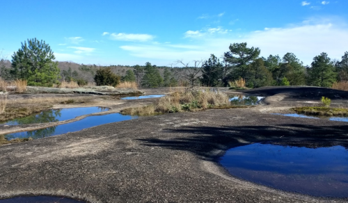 A rocky landscape with shallow pools of water, surrounded by trees and blue skies.