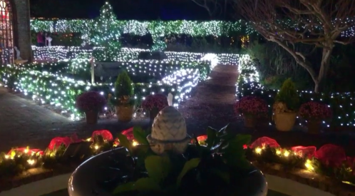 A beautifully lit garden at night, featuring twinkling lights, a fountain, and colorful flower beds.