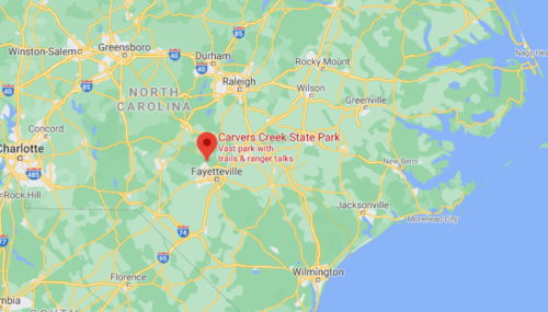 Map showing Carvers Creek State Park in North Carolina, highlighting trails and ranger talks in a green landscape.