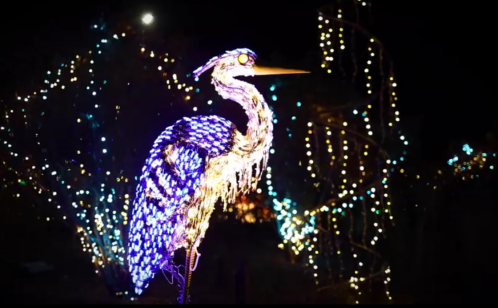 A brightly lit heron sculpture surrounded by colorful holiday lights at night.