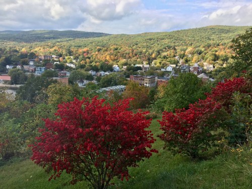 A scenic view of a town surrounded by colorful autumn foliage and vibrant red bushes in the foreground.