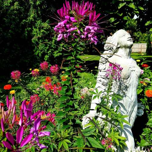 A serene garden scene featuring vibrant pink flowers and a white statue surrounded by colorful blooms.