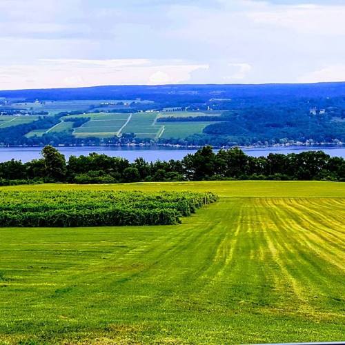 Lush green fields and vineyards overlook a serene lake and rolling hills under a partly cloudy sky.