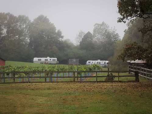 A misty landscape featuring a vineyard, two trailers in the background, and a rustic wooden fence.