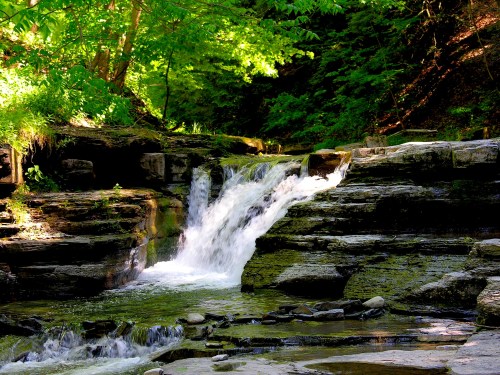 A serene waterfall cascades over rocky ledges, surrounded by lush green foliage in a tranquil forest setting.