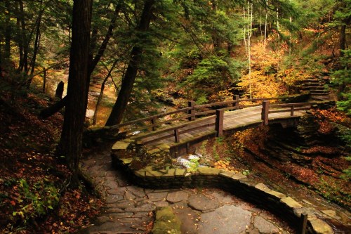 A winding stone path leads to a wooden bridge surrounded by lush green trees and autumn foliage.