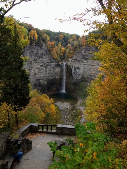 A scenic view of a waterfall surrounded by autumn foliage and rocky cliffs, with a person taking a photo nearby.