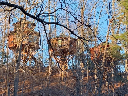 Three treehouses perched on stilts among bare trees, illuminated by soft sunlight in a wooded area.