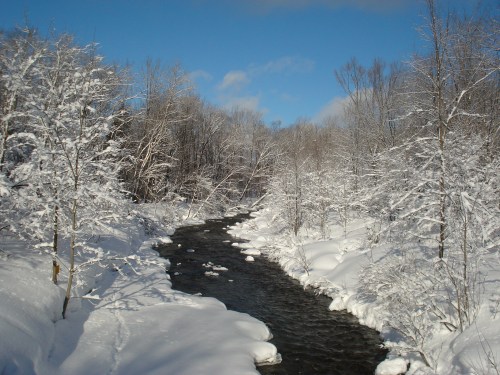 A serene winter landscape featuring a winding river surrounded by snow-covered trees and a clear blue sky.