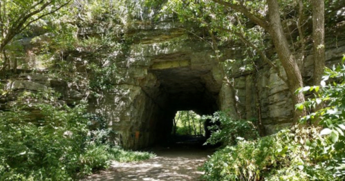 A natural stone tunnel surrounded by lush greenery and trees, leading into a bright, open area.