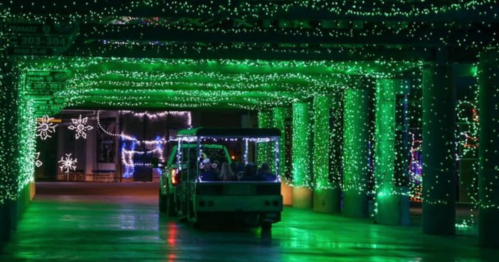 A vehicle drives through a tunnel adorned with vibrant green holiday lights and festive decorations.