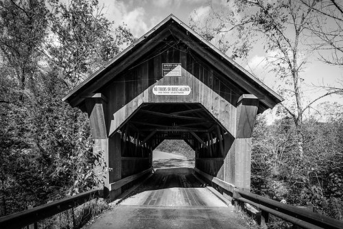 A black and white image of a covered bridge surrounded by trees, with a clear sky above and a road leading through it.