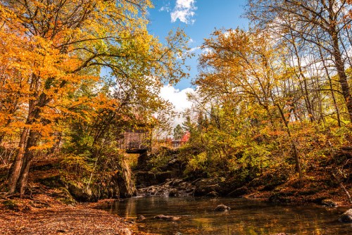 A serene autumn scene with colorful trees reflecting in a calm stream under a bright blue sky.