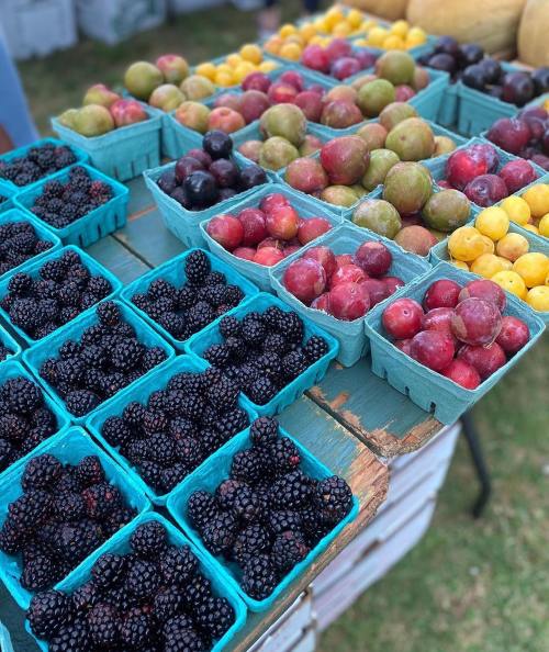 A colorful display of various berries and fruits in blue containers at a market.
