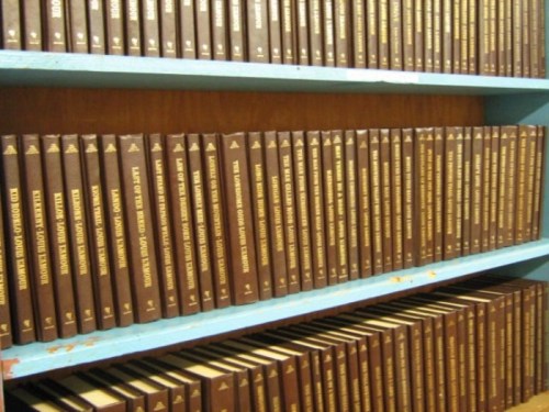 A shelf filled with neatly arranged brown books, each with gold lettering on the spine.