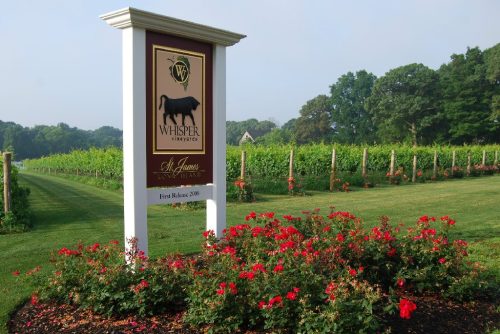 Sign for Whisper Vineyards surrounded by blooming roses and lush green vineyards under a clear sky.