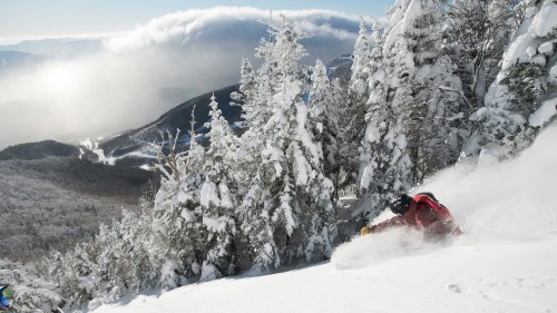 A skier carves through fresh snow on a mountain, surrounded by snow-covered trees and a misty landscape.