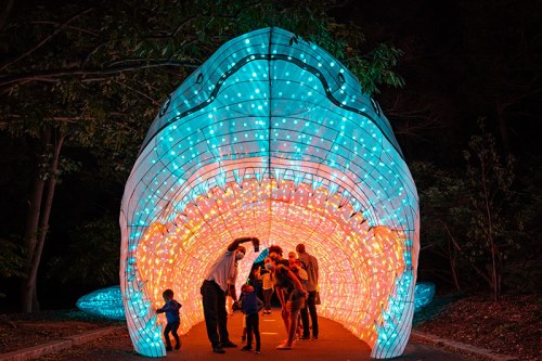 A colorful illuminated tunnel with people exploring inside, surrounded by trees at night.