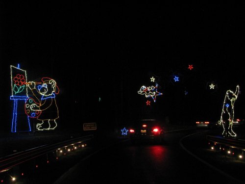 Colorful holiday lights depicting bears and stars along a dark road, creating a festive nighttime scene.