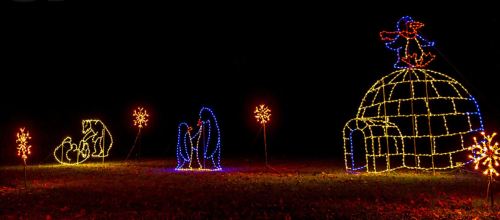 Colorful holiday lights depicting penguins, a polar bear, and an igloo against a dark background.