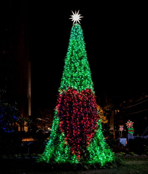 A brightly lit Christmas tree in green and red, topped with a star, set against a dark night sky.