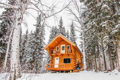 A cozy log cabin surrounded by snow-covered trees in a winter landscape.